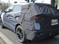 2017 Hyundai Santa Fe rear view